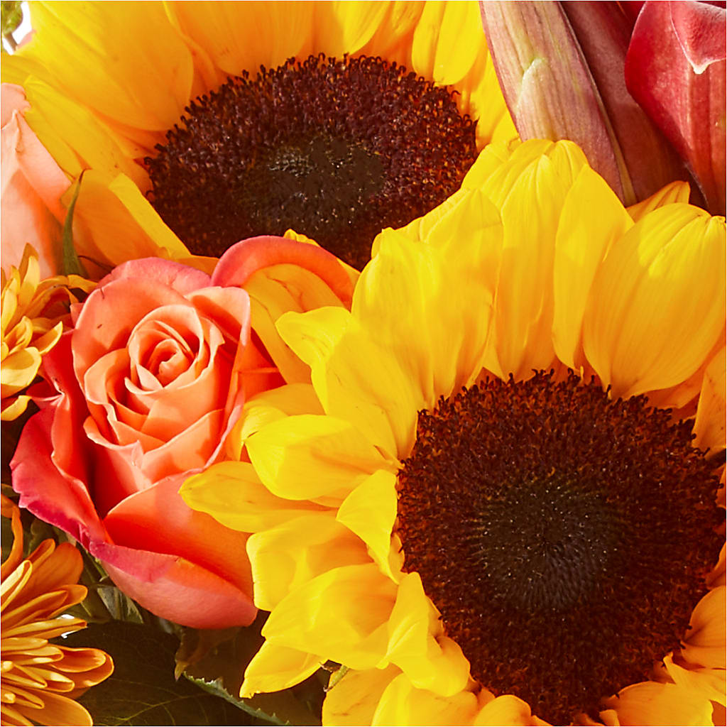 Acorn Lane Bouquet –  Family Fare Supermarkets #3785, Omaha NE