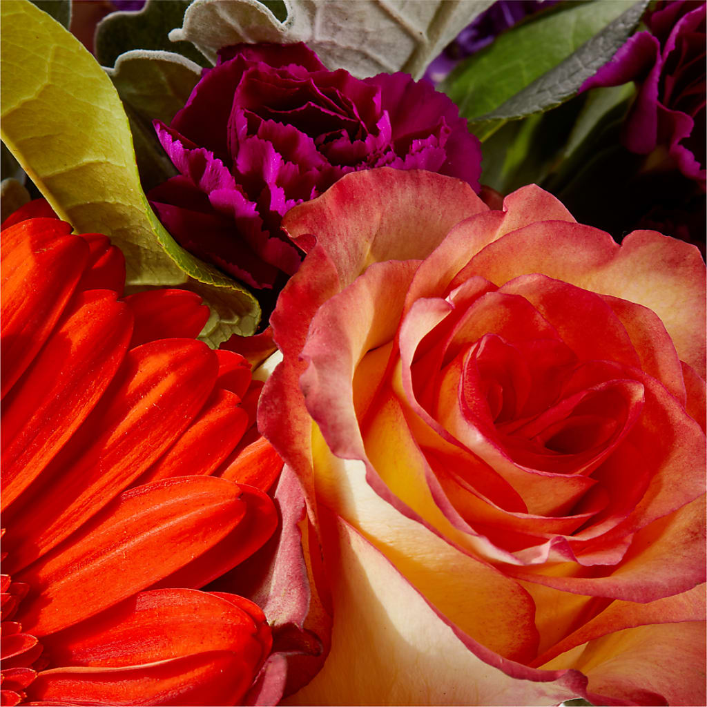 Sangria Bouquet –  Family Fare Supermarkets #3785, Omaha NE