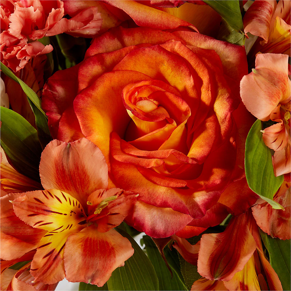 Apricot Glow Bouquet –  Family Fare Supermarkets #3785, Omaha NE