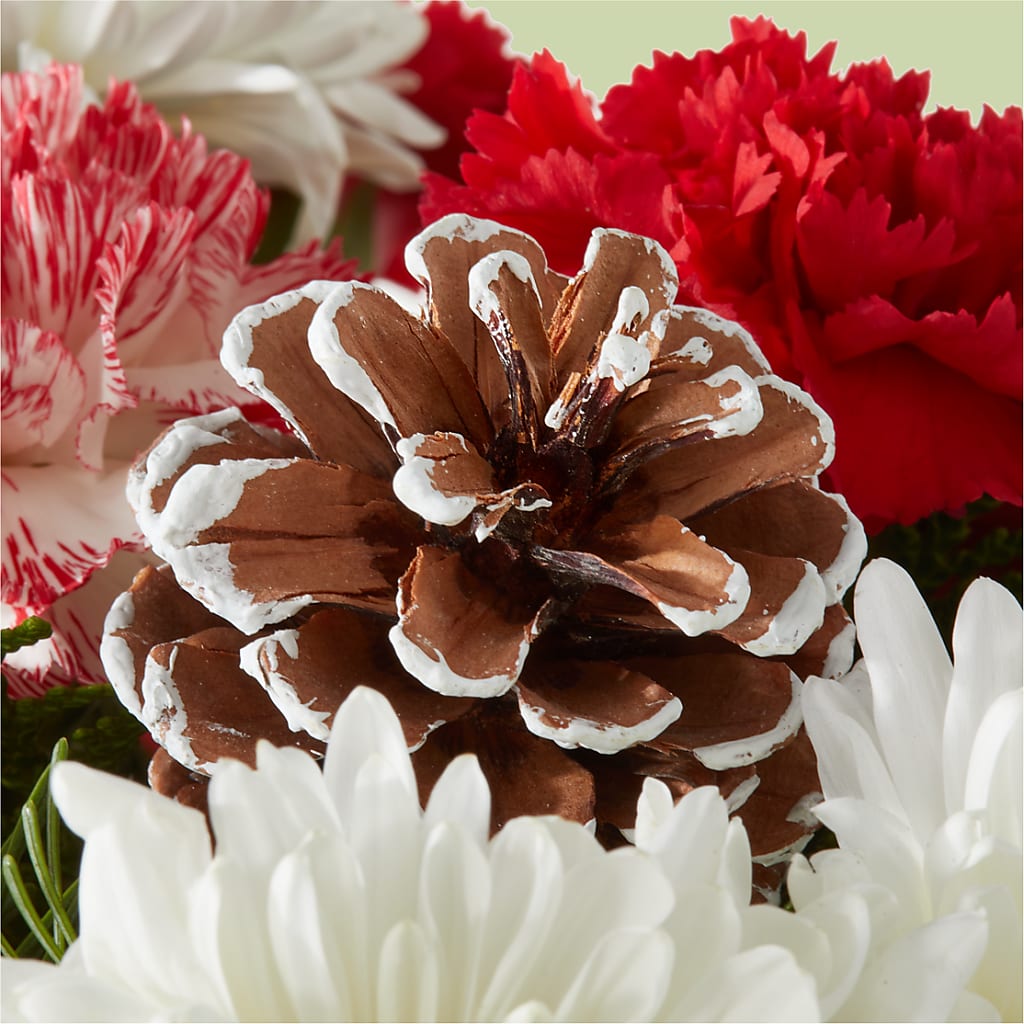Candy Cane Lane Bouquet –  Family Fare Supermarkets #3785, Omaha NE