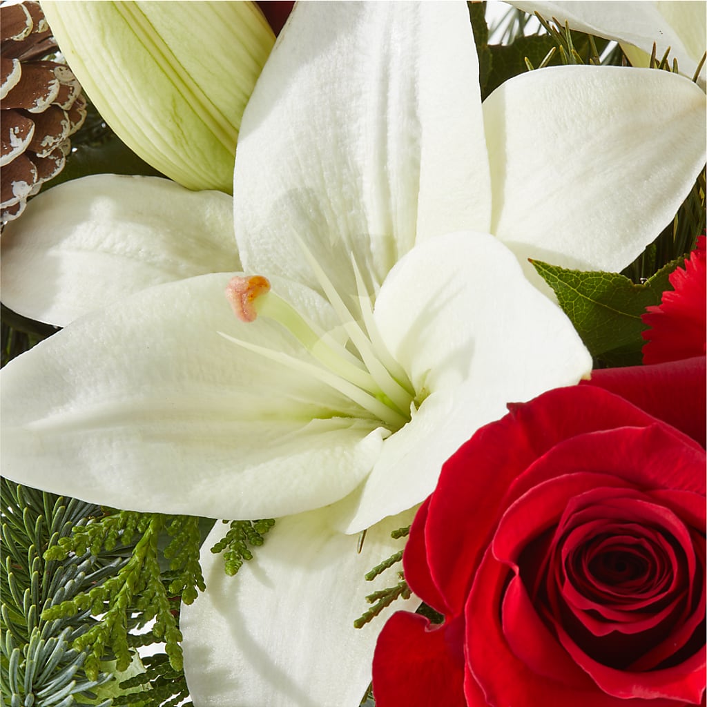 Oh So Jolly Bouquet –  Family Fare Supermarkets #3785, Omaha NE