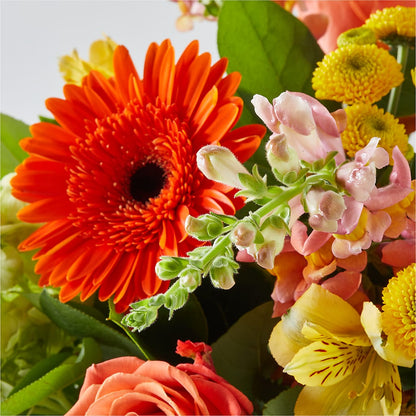 Autumn Sunshine Bouquet –  Family Fare Supermarkets #3785, Omaha NE