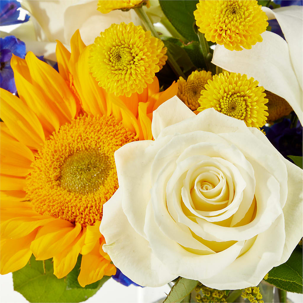 Stargazing Bouquet –  Family Fare Supermarkets #3785, Omaha NE