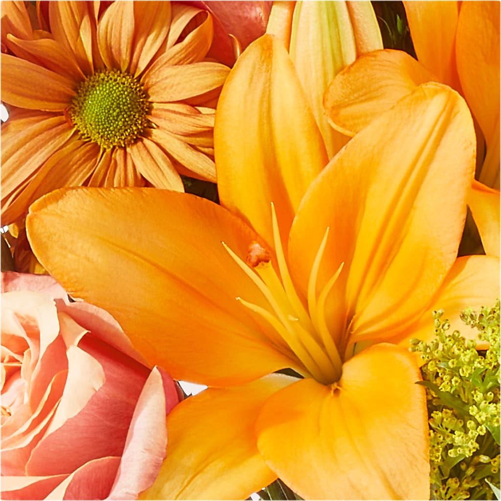 Harvest Hayride Bouquet –  Family Fare Supermarkets #3785, Omaha NE