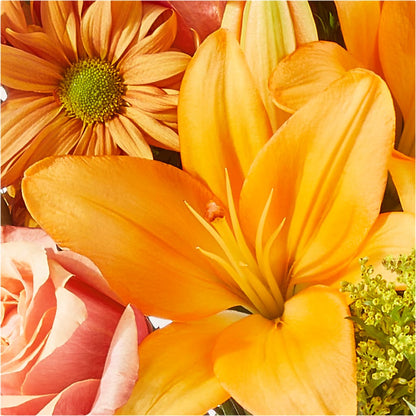 Harvest Hayride Bouquet –  Family Fare Supermarkets #3785, Omaha NE