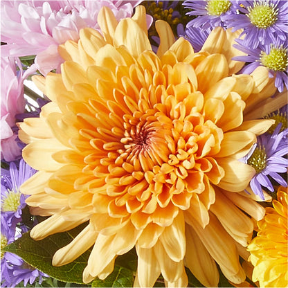 Countryside Bouquet –  Family Fare Supermarkets #3785, Omaha NE