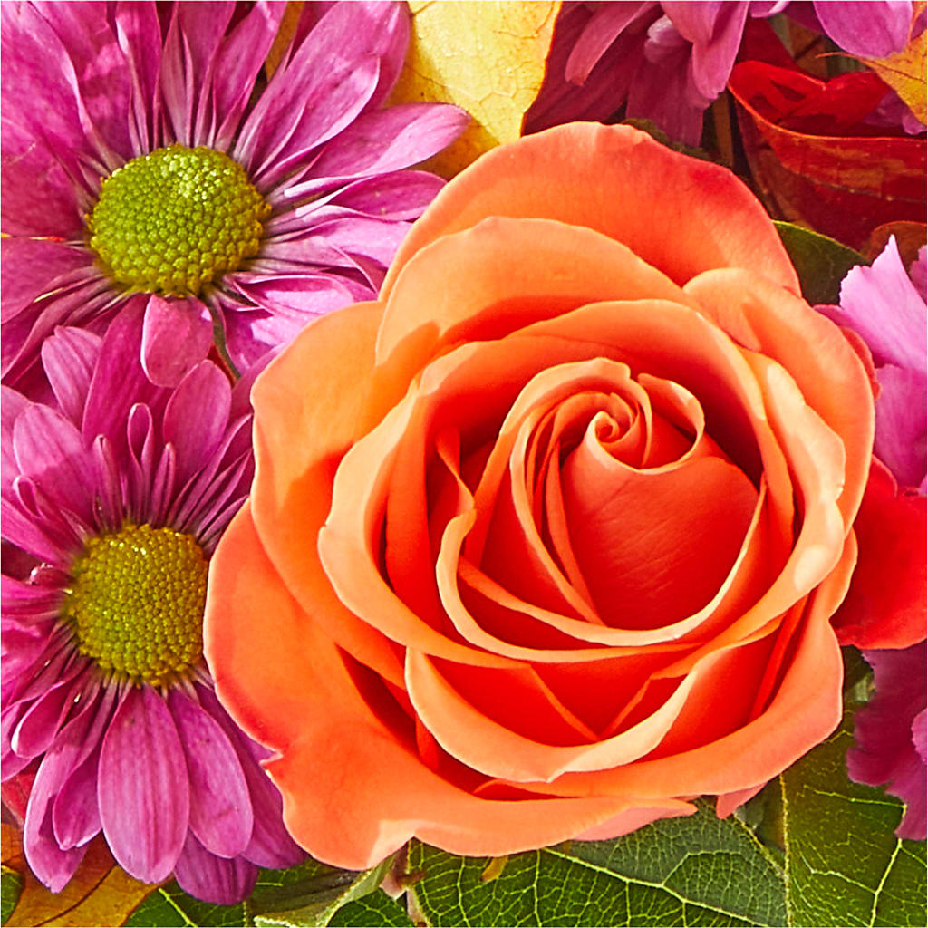Mum's the Word Bouquet –  Family Fare Supermarkets #3785, Omaha NE