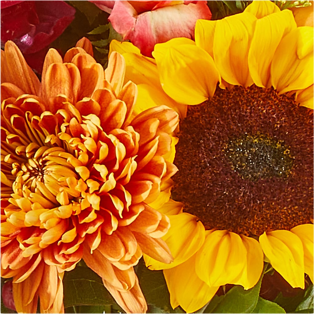 Seasons Change Bouquet –  Family Fare Supermarkets #3785, Omaha NE