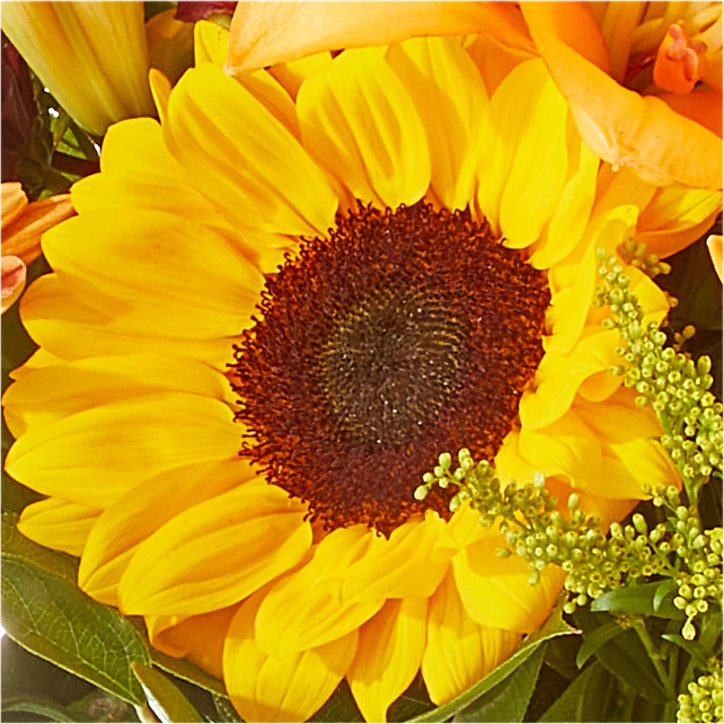 Seasons Change Bouquet –  Family Fare Supermarkets #3785, Omaha NE