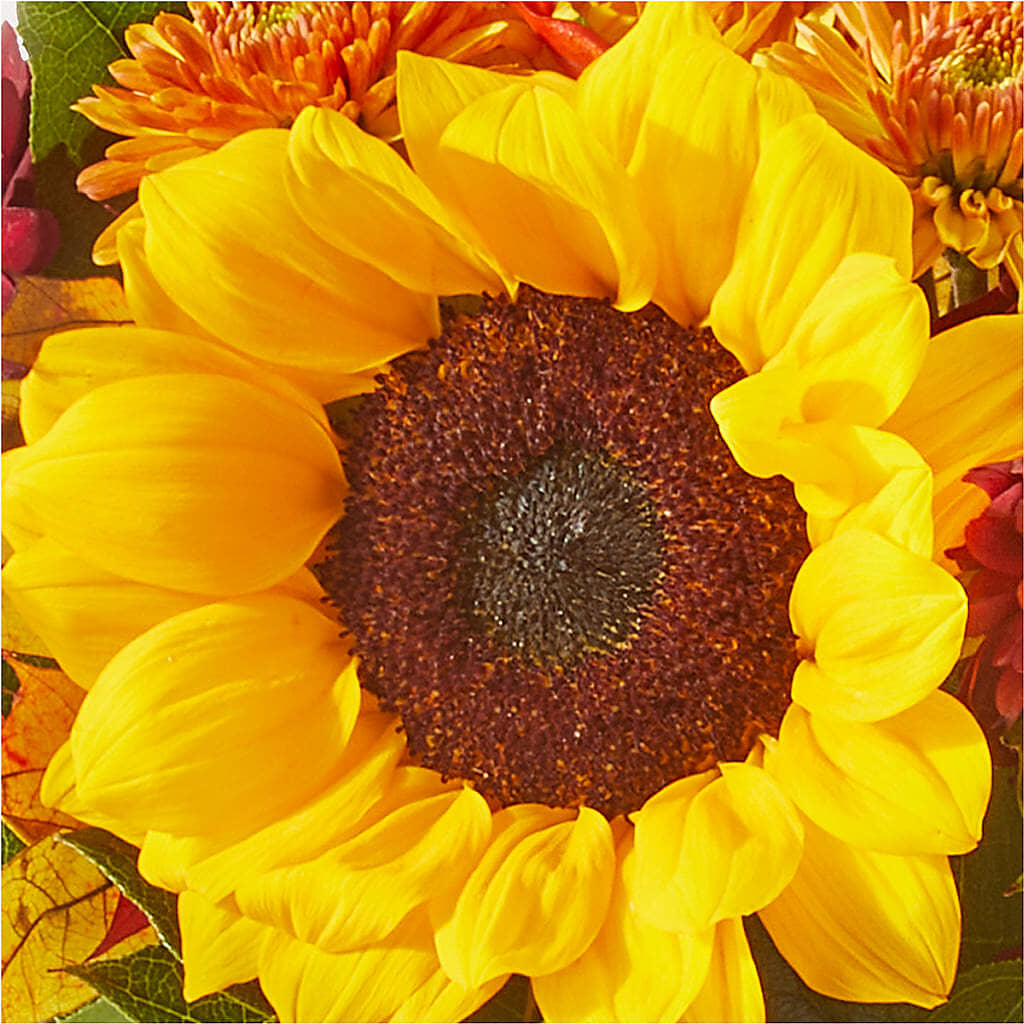 Sunny Side Bouquet –  Family Fare Supermarkets #3785, Omaha NE