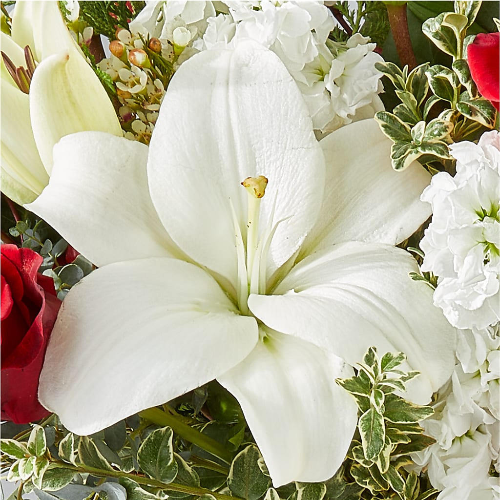 Twinkle Lights Bouquet –  Family Fare Supermarkets #3785, Omaha NE