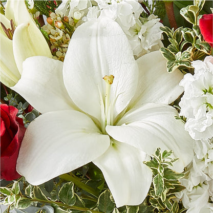 Twinkle Lights Bouquet –  Family Fare Supermarkets #3785, Omaha NE
