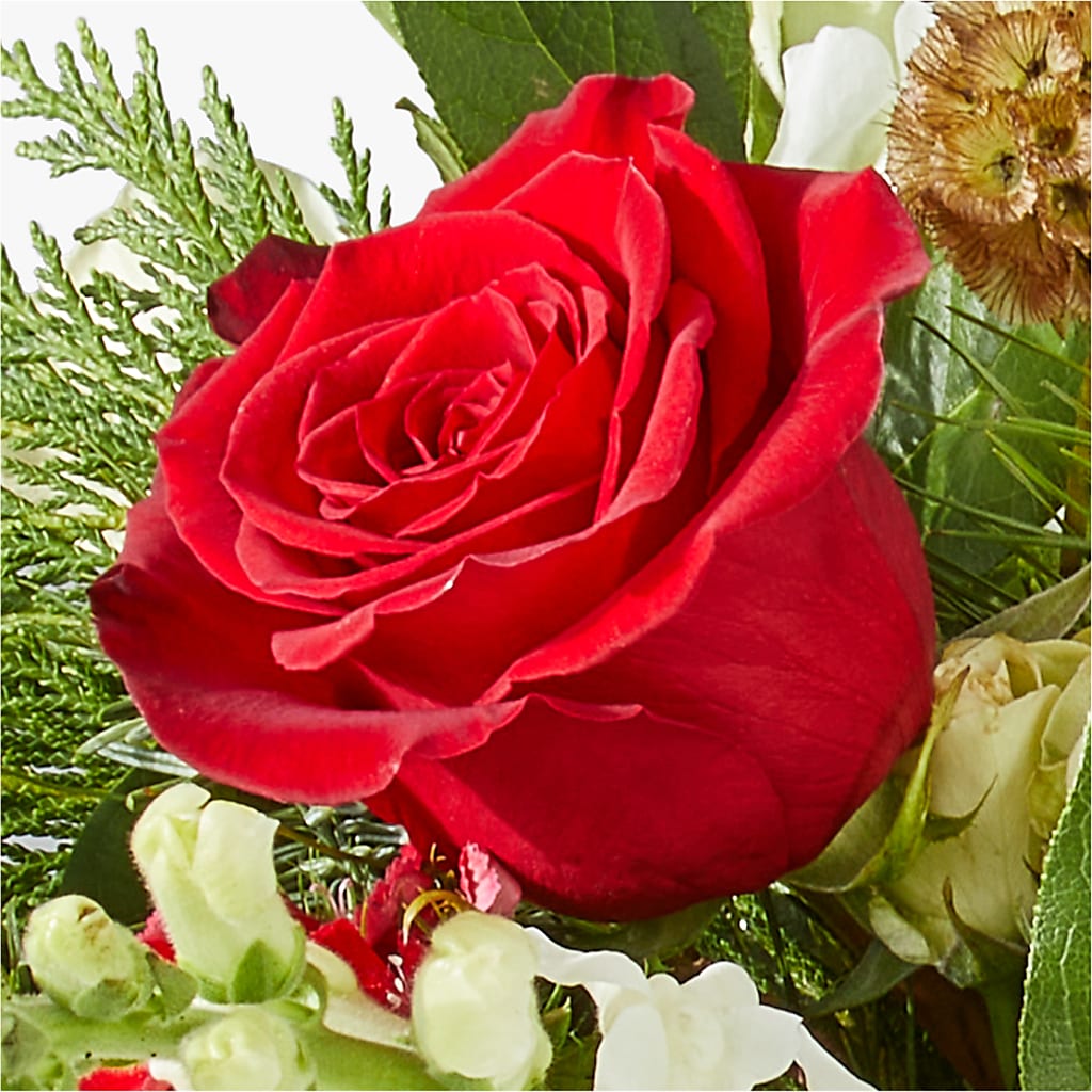 Deck the Halls Bouquet –  Family Fare Supermarkets #3785, Omaha NE