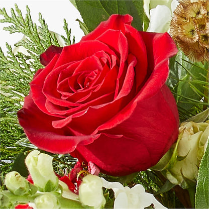 Deck the Halls Bouquet –  Family Fare Supermarkets #3785, Omaha NE
