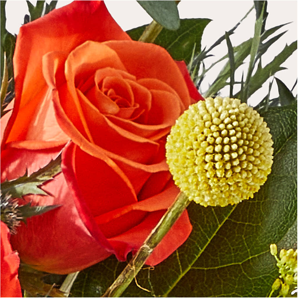 Disco Bouquet –  Family Fare Supermarkets #3785, Omaha NE