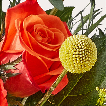Disco Bouquet –  Family Fare Supermarkets #3785, Omaha NE