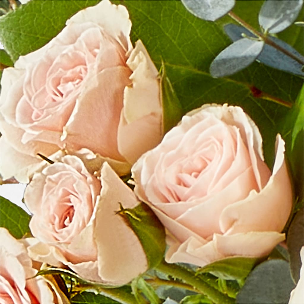 Inspired Bouquet –  Family Fare Supermarkets #3785, Omaha NE