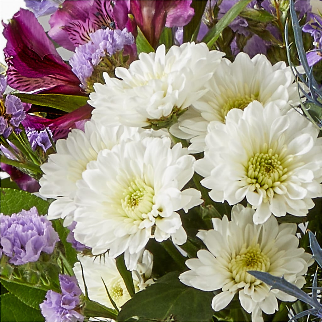 Shooting Star Bouquet –  Family Fare Supermarkets #3785, Omaha NE