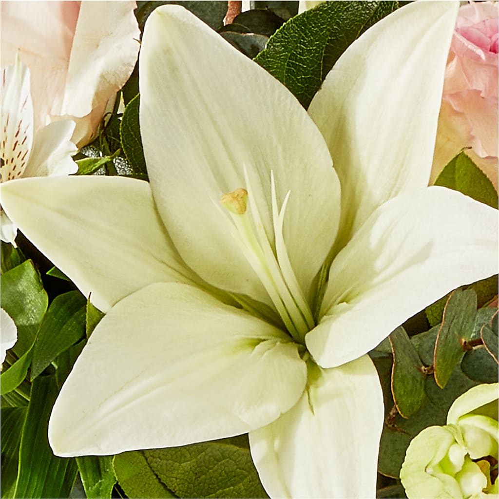 Ballet Slippers Bouquet –  Family Fare Supermarkets #3785, Omaha NE