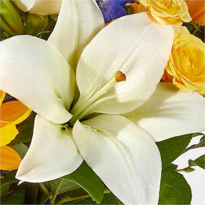 Wonderfully Sunny Bouquet –  Family Fare Supermarkets #3785, Omaha NE