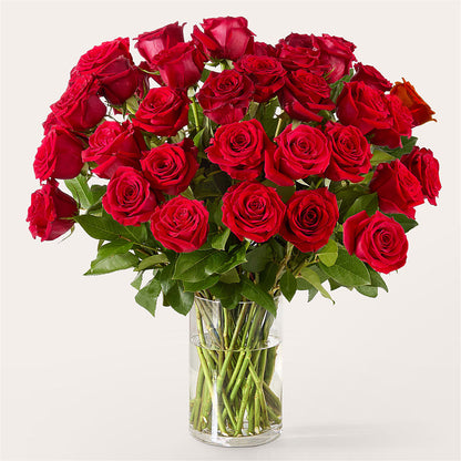 The One Red Rose Bouquet –  Family Fare Supermarkets #3785, Omaha NE
