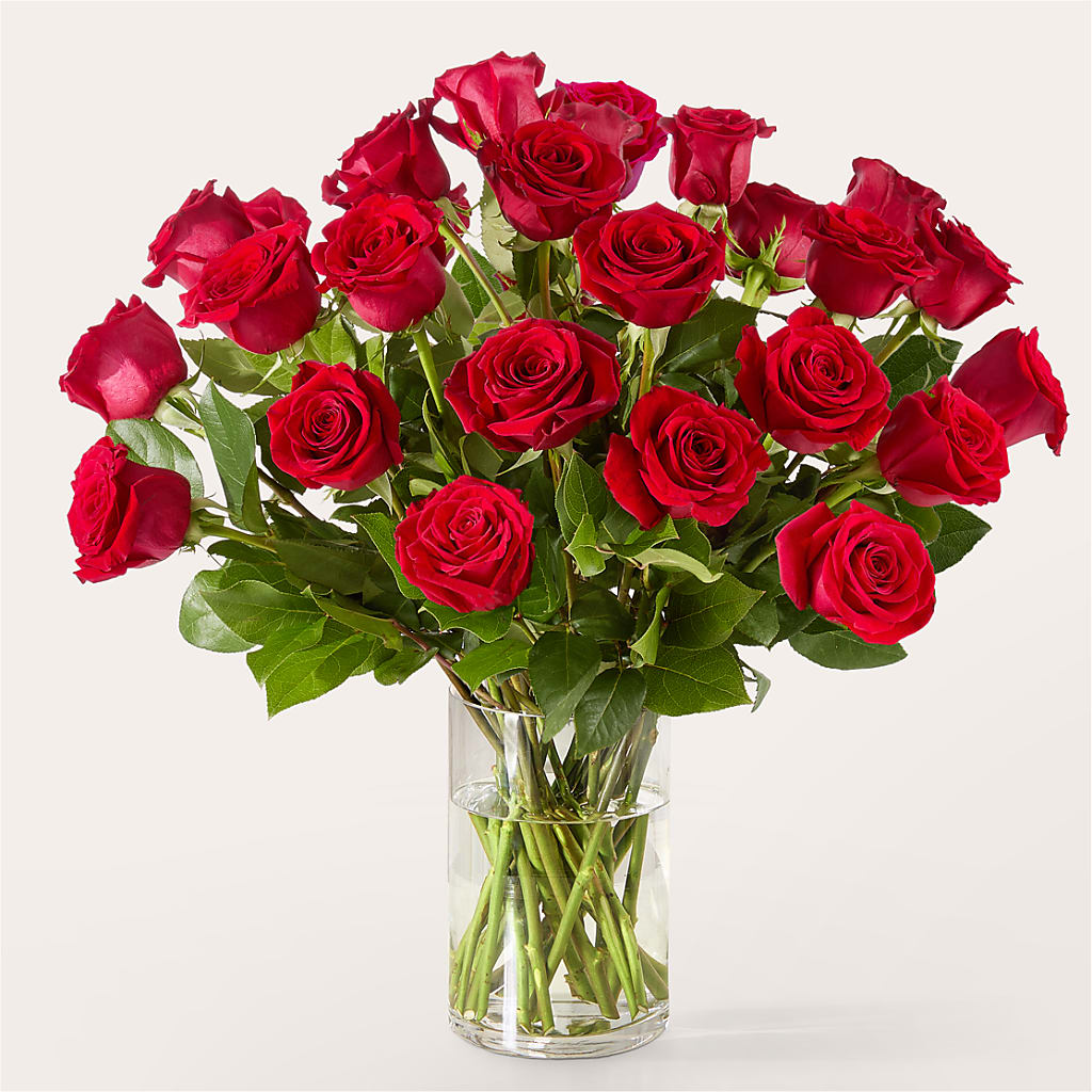 The One Red Rose Bouquet –  Family Fare Supermarkets #3785, Omaha NE