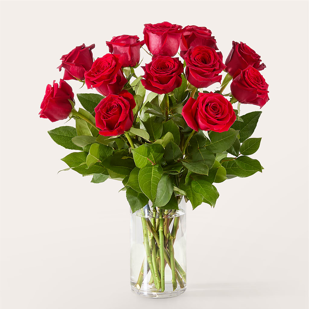 The One Red Rose Bouquet –  Family Fare Supermarkets #3785, Omaha NE